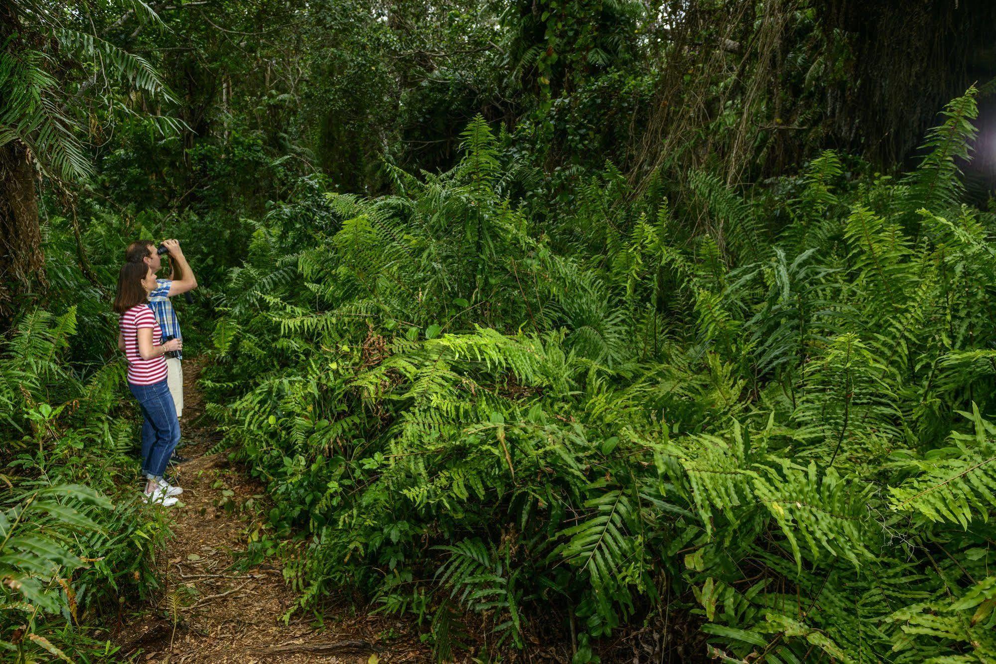 Kosi Forest Lodge Manguzi Bagian luar foto